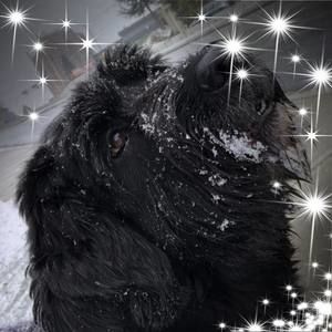 Meet your Posher, Liz